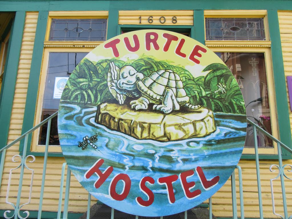Turtle Hostel Victoria Eksteriør billede